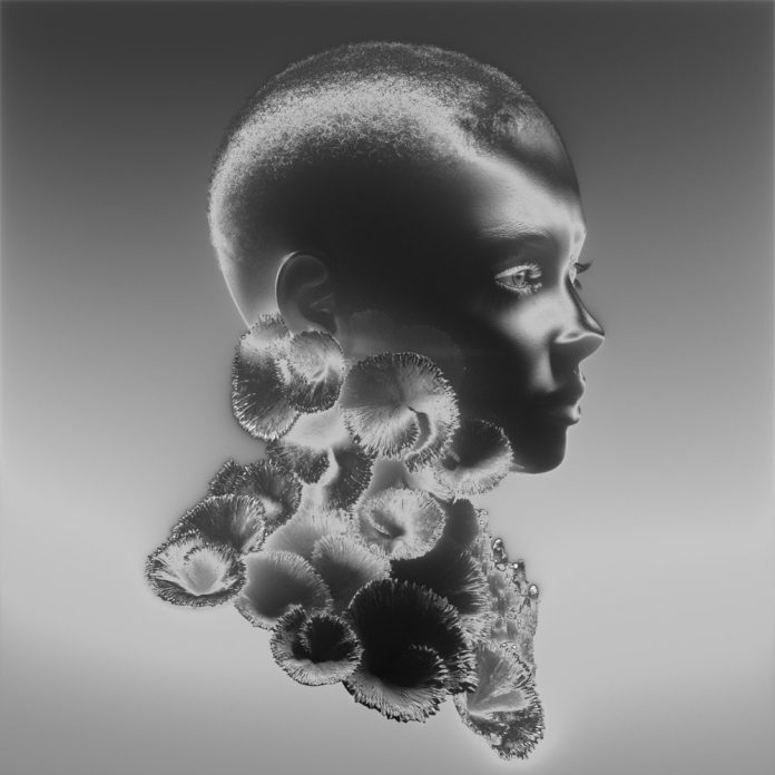 capa_13684