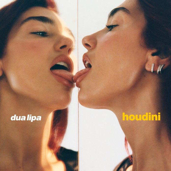 capa_13742